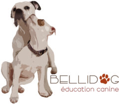 Logo Bellidog.ch